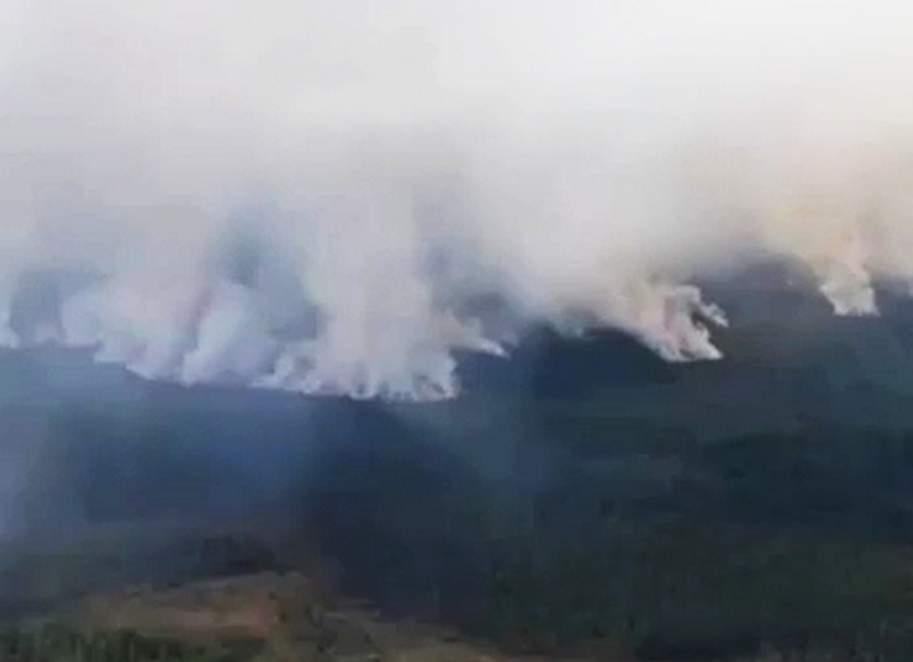 Режим ЧС введен по причине лесного пожара в Воротынском районе - фото 1