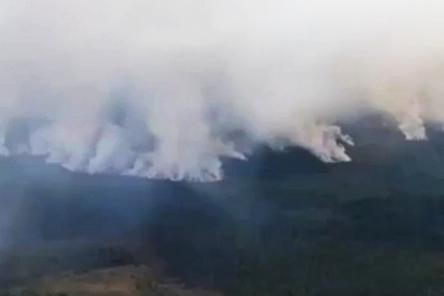 Режим ЧС введен по причине лесного пожара в Воротынском районе