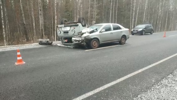 Пьяный автомобилист устроил жуткое ДТП в Нижегородской области - фото 1