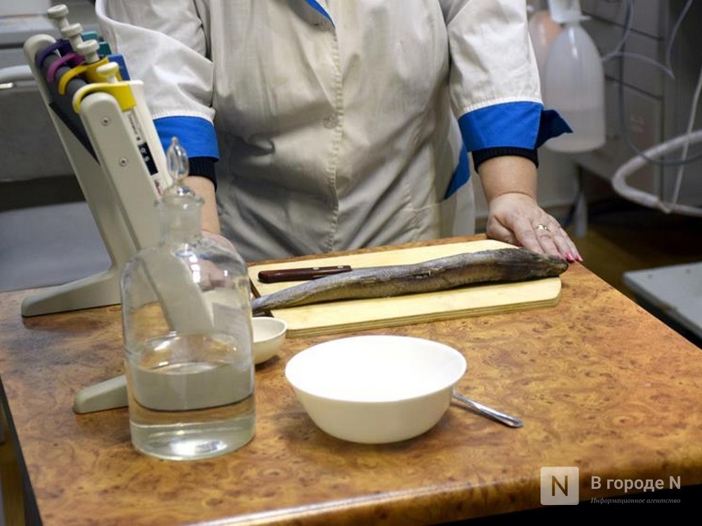 370 кг опасной рыбной продукции изъяли в Нижегородской области - фото 1