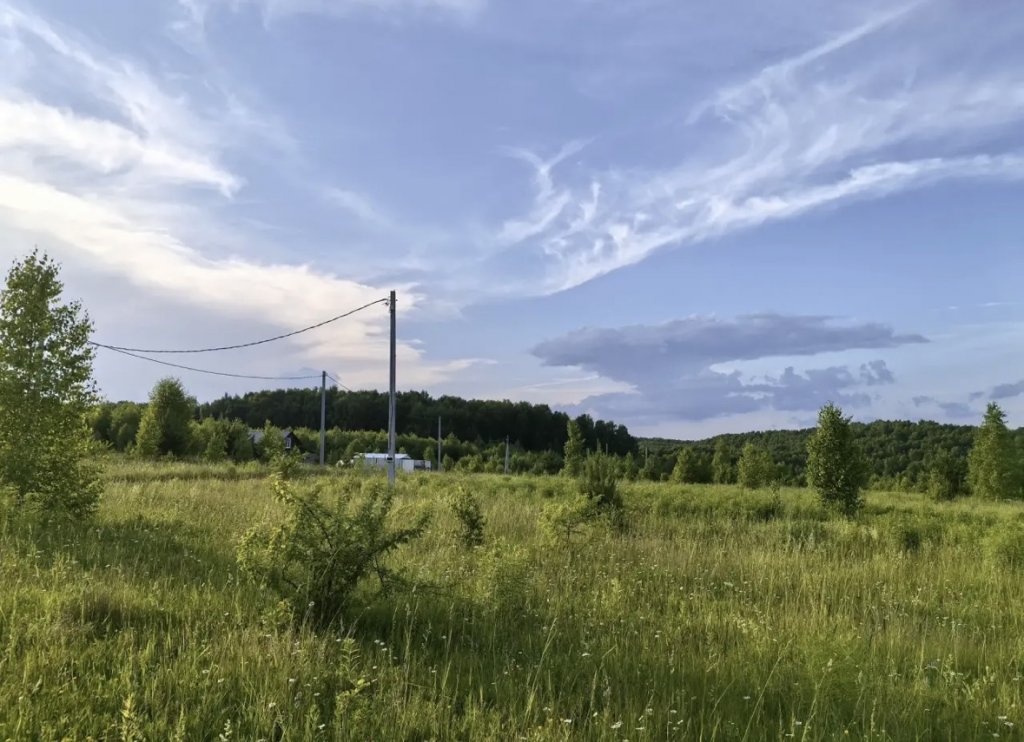Многодетная нижегородка заявила о проблемах с бесплатным земельным участком - фото 1