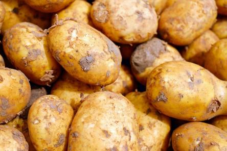 6 ядовитых продуктов, об опасности которых мы даже не догадываемся