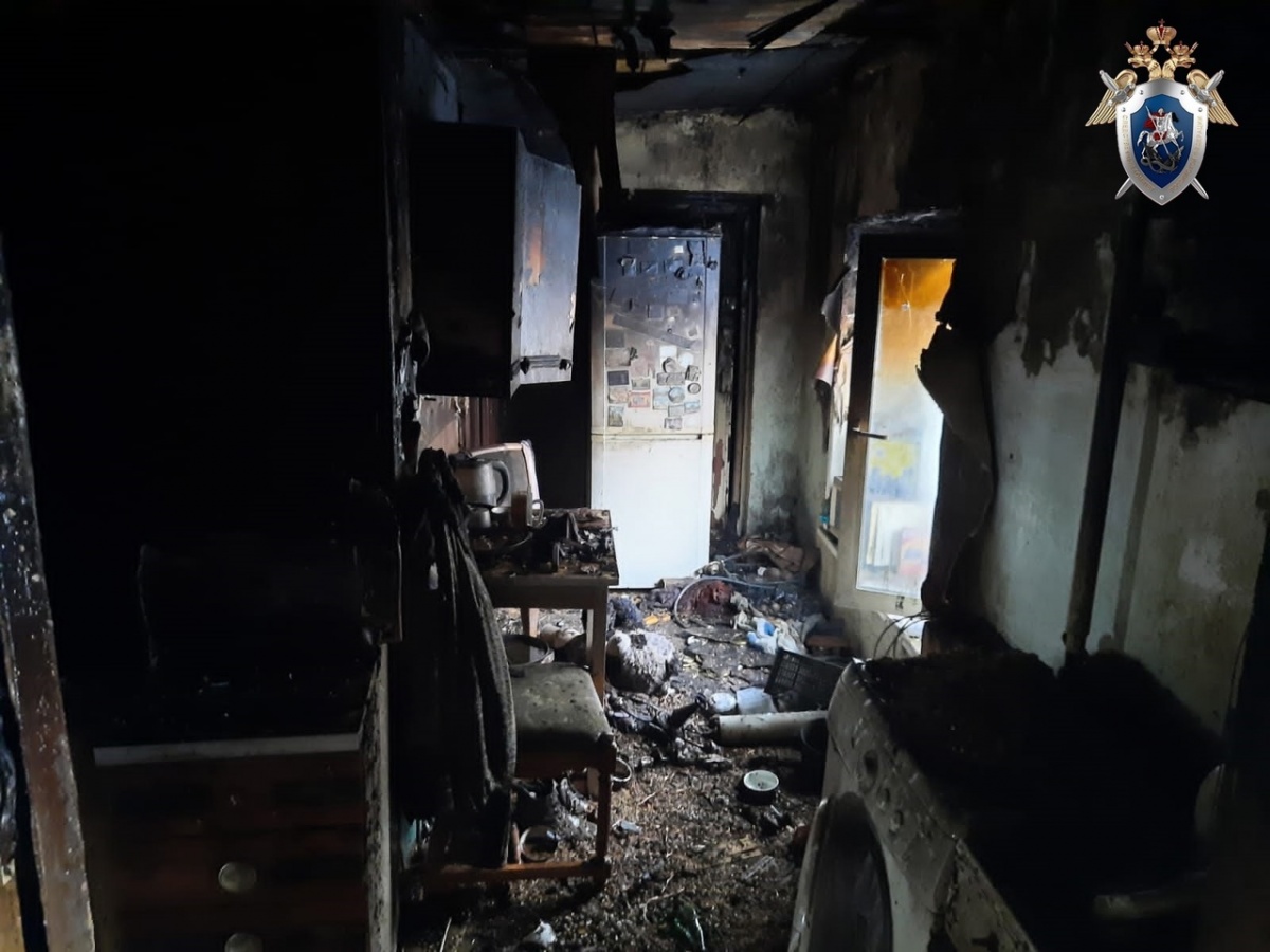 Проверка проводится по факту гибели женщины на пожаре в Автозаводском районе - фото 1