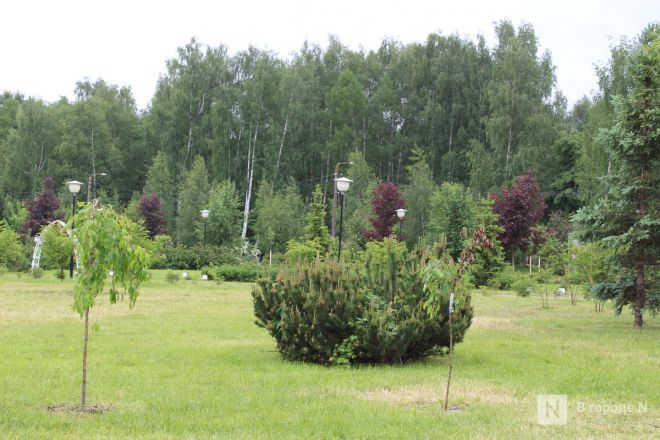 Год под крылом Нижнего Новгорода: как выглядит и чем привлекает Кстово — фоторепортаж - фото 66