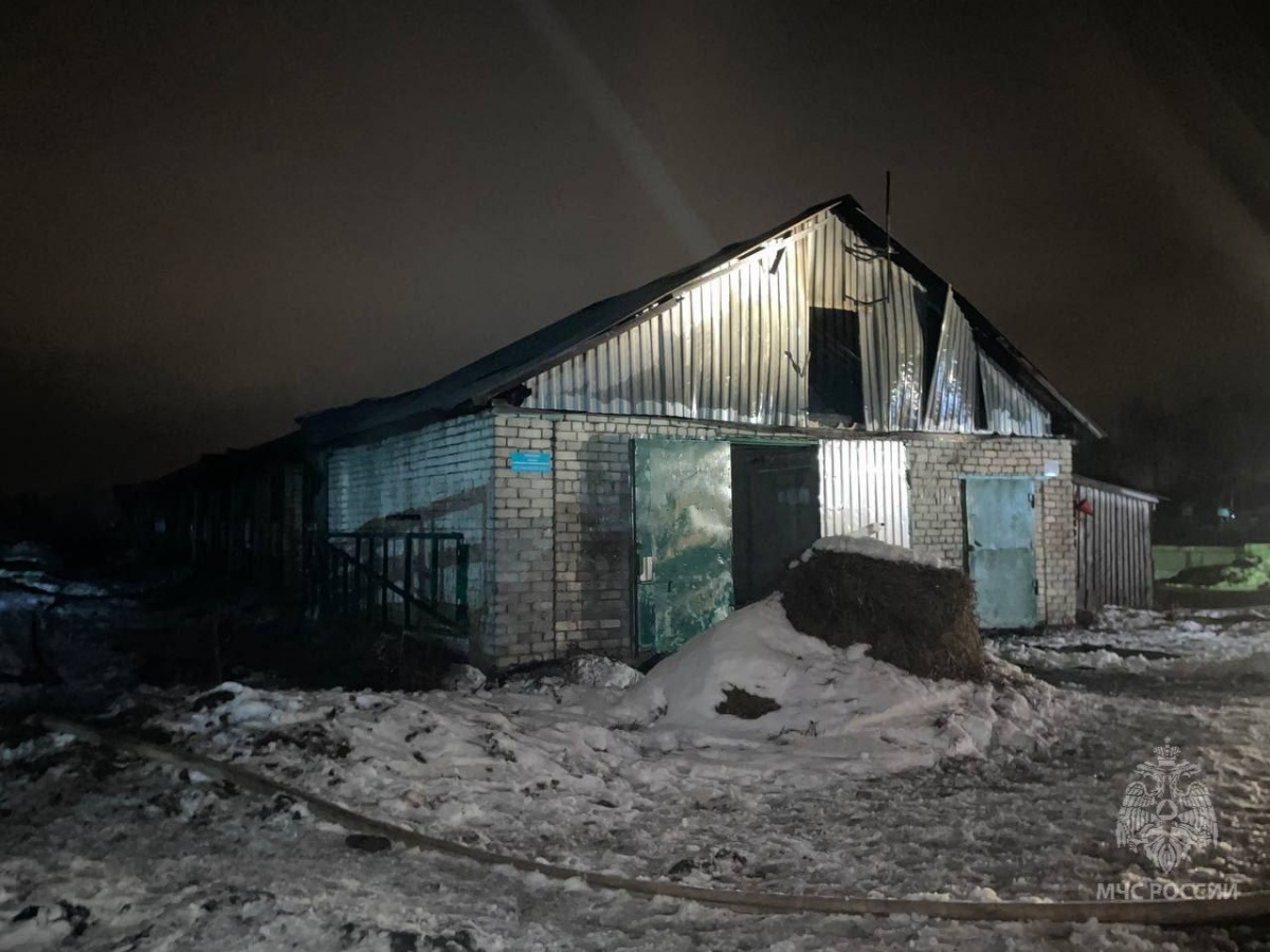 Склад сельхозпредприятия сгорел в Нижегородской области - фото 1