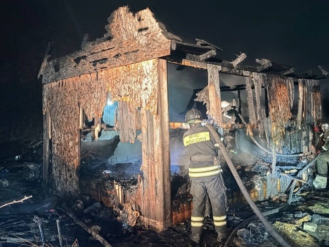 Мужчина погиб на пожаре в дачном доме в Нижегородской области - фото 1