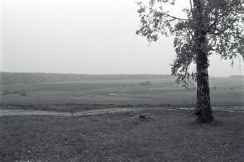 Большое Болдино: история и архивные фото Пушкинского имения - фото 8