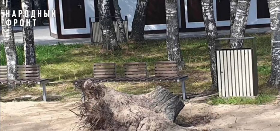 Арзамасский пляж за 34 млн рублей вдребезги разлетелся после урагана  - фото 4