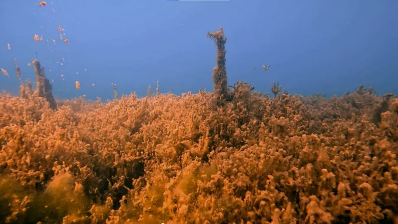 Фридайверы рассказали о самых необычных находках на дне нижегородских водоемов - фото 3