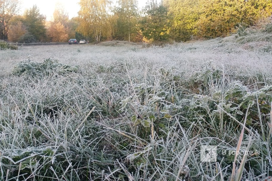 Заморозки до -2&deg;С ожидаются в Нижегородской области - фото 1