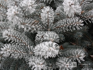 МЧС предупреждает нижегородцев о резком похолодании до -22°C