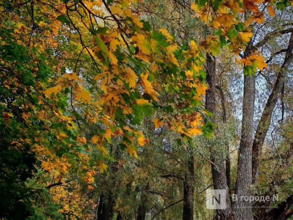 Та самая пушкинская осень: уютный фоторепортаж из Большого Болдина - фото 19