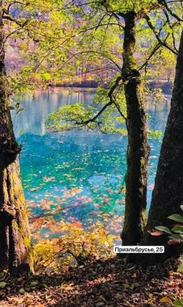 Давид Мелик-Гусейнов раскрыл, чем занимается после ухода из «Пари НН» - фото 6